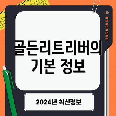 골든리트리버의 기본 정보