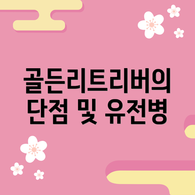 골든리트리버의 단점 및 유전병