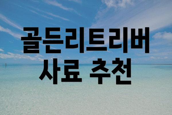 골든리트리버 사료 추천