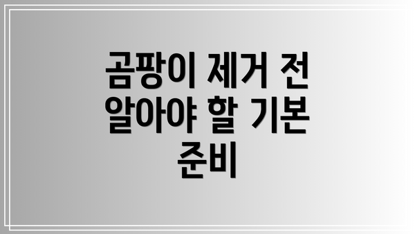 곰팡이 제거 전 알아야 할 기본 준비
