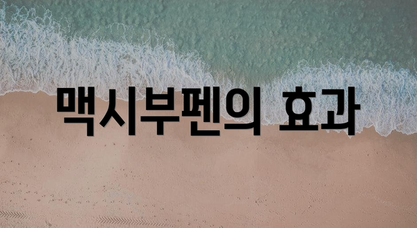 맥시부펜의 효과