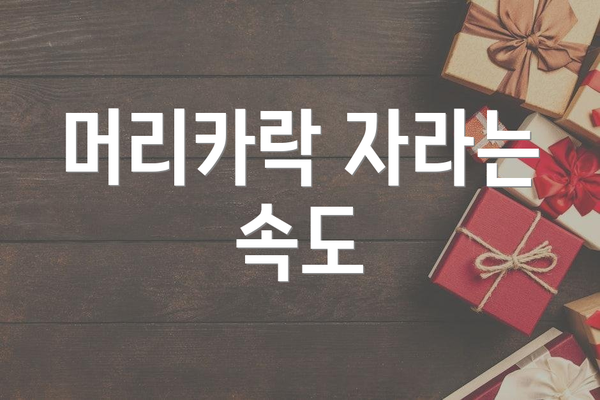 머리카락 자라는 속도