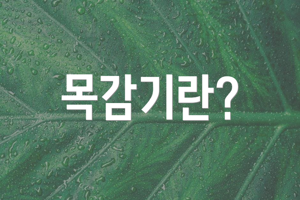 목감기란?