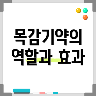 목감기약의 역할과 효과