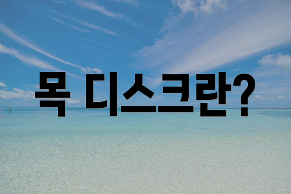 목 디스크란?