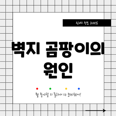 벽지 곰팡이의 원인