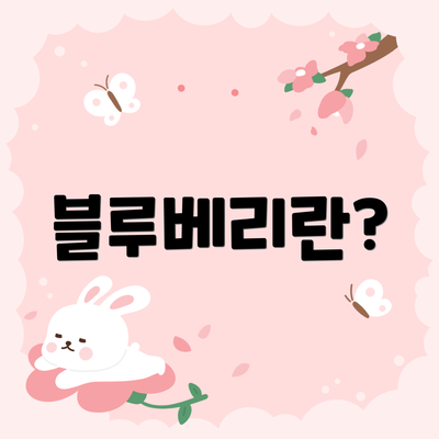 블루베리란?