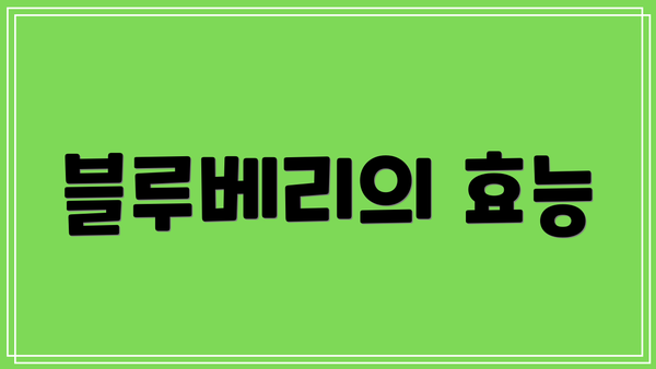 블루베리의 효능