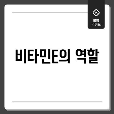 비타민E의 역할