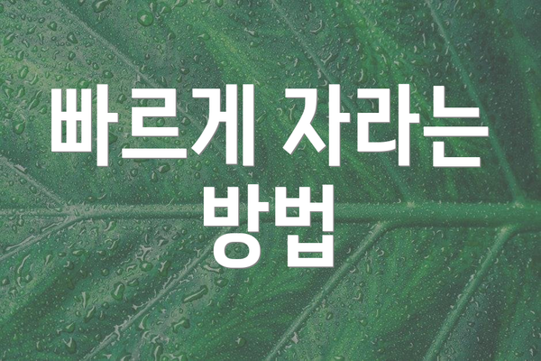 빠르게 자라는 방법