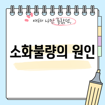 소화불량의 원인
