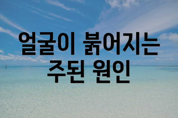 얼굴이 붉어지는 주된 원인