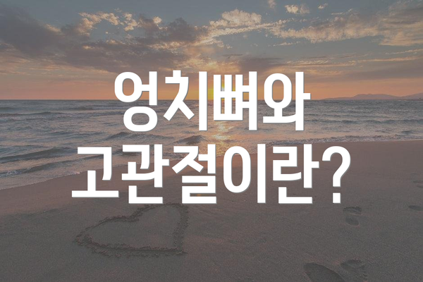 엉치뼈와 고관절이란?