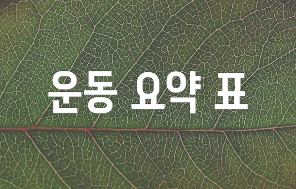 운동 요약 표