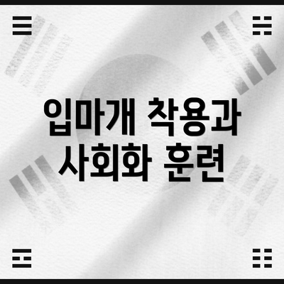 입마개 착용과 사회화 훈련