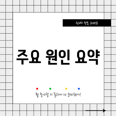주요 원인 요약