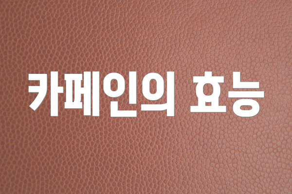 카페인의 효능