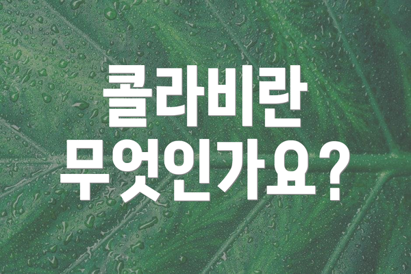 콜라비란 무엇인가요?