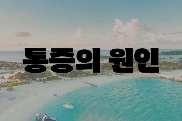 통증의 원인