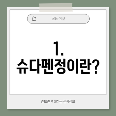 1. 슈다펜정이란?