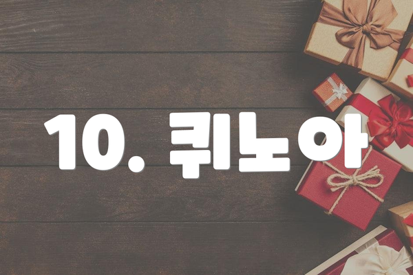 10. 퀴노아