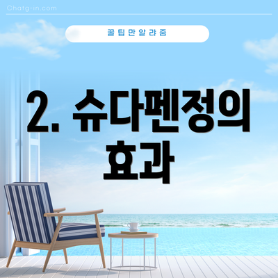 2. 슈다펜정의 효과