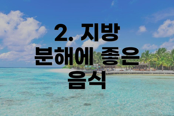 2. 지방 분해에 좋은 음식