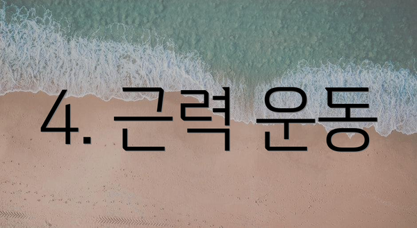 4. 근력 운동