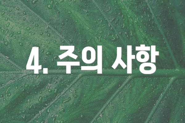 4. 주의 사항