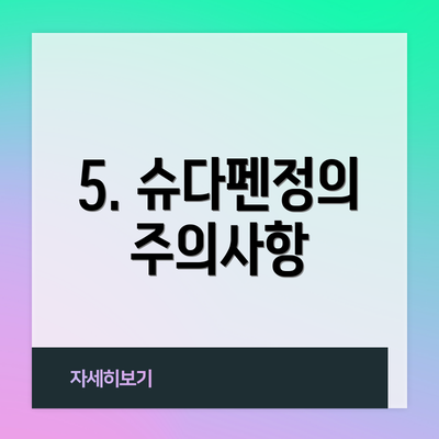 5. 슈다펜정의 주의사항