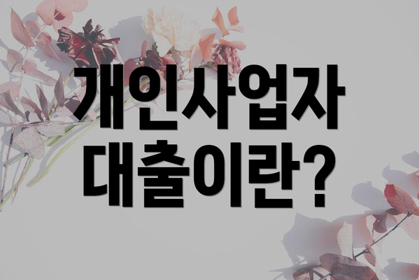 개인사업자 대출이란?