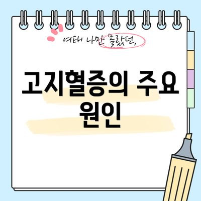 고지혈증의 주요 원인