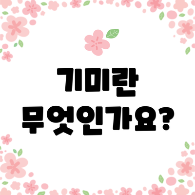 기미란 무엇인가요?