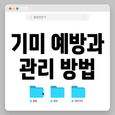 기미 예방과 관리 방법