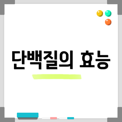 단백질의 효능