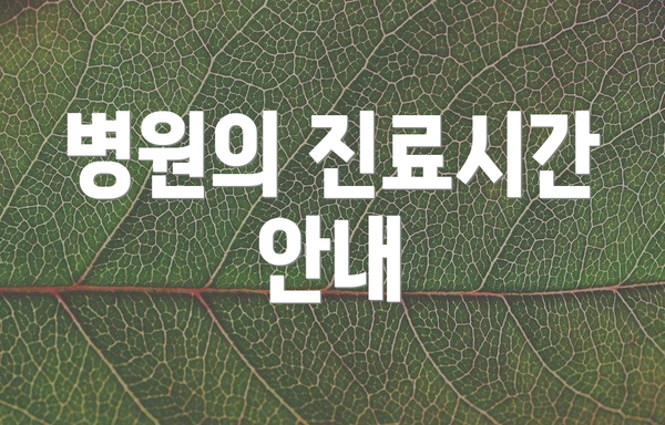 병원의 진료시간 안내