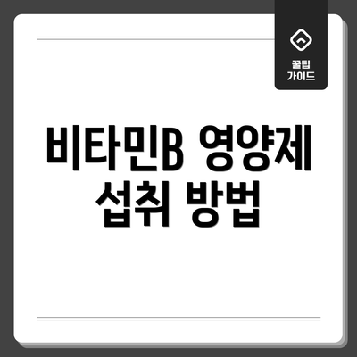 비타민B 영양제 섭취 방법