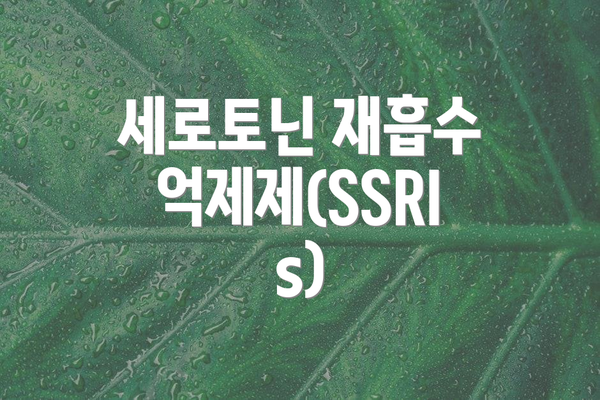세로토닌 재흡수 억제제(SSRIs)