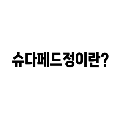 슈다페드정이란?