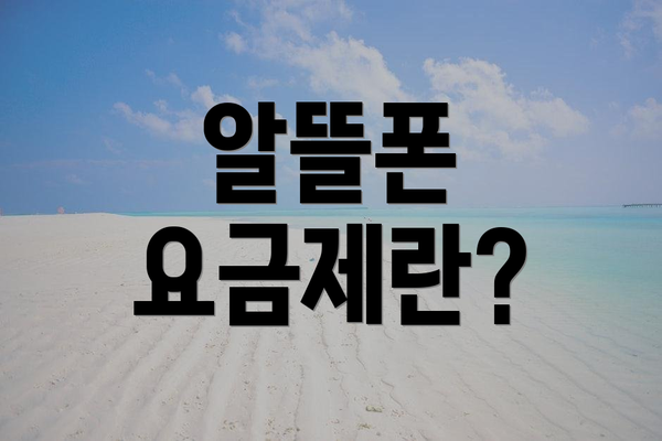 알뜰폰 요금제란?