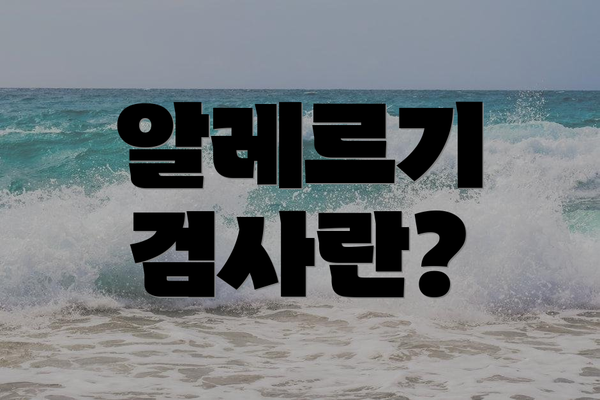 알레르기 검사란?
