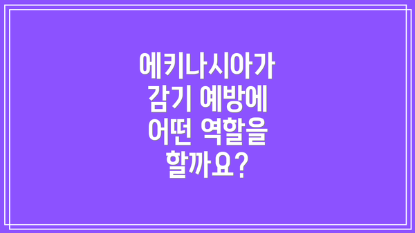 에키나시아가 감기 예방에 어떤 역할을 할까요?