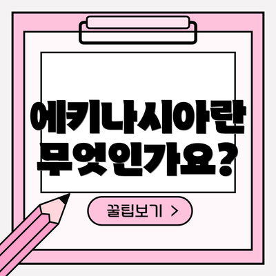 에키나시아란 무엇인가요?