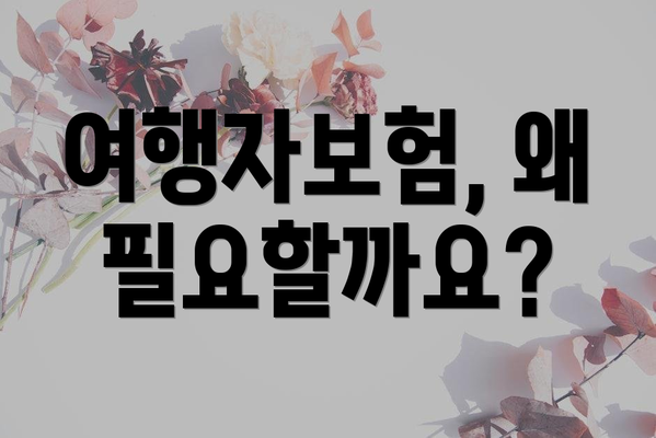 여행자보험, 왜 필요할까요?