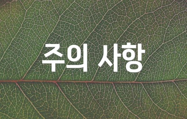 주의 사항