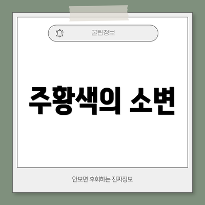 주황색의 소변