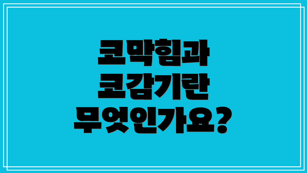 코막힘과 코감기란 무엇인가요?