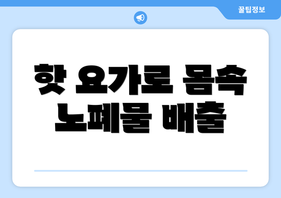 핫 요가로 몸속 노폐물 배출