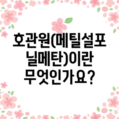 호관원(메틸설포닐메탄)이란 무엇인가요?