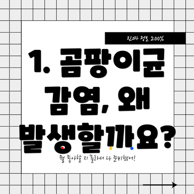1. 곰팡이균 감염, 왜 발생할까요?